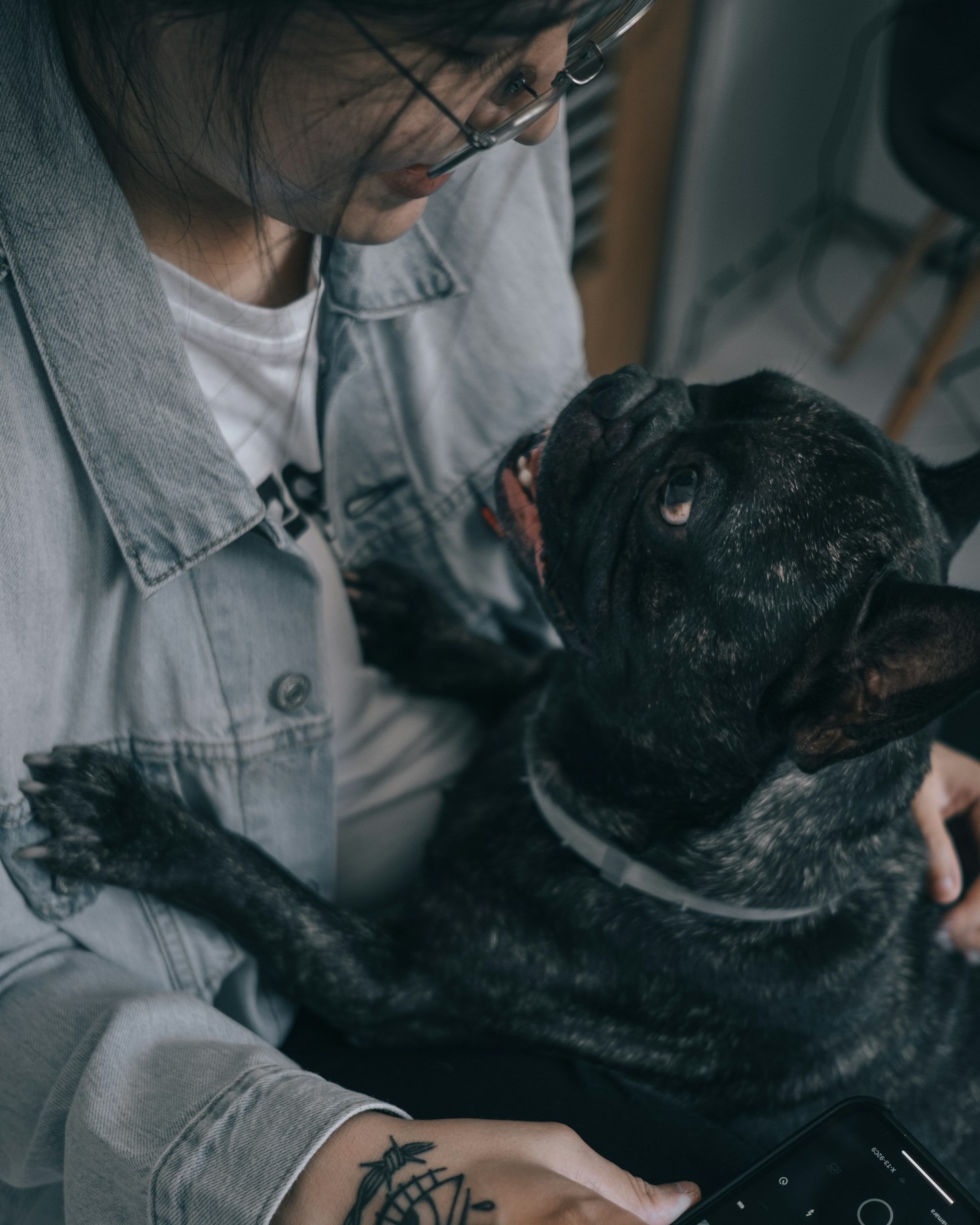 Top Nutrition Tips to Keep Your Frenchie Thriving