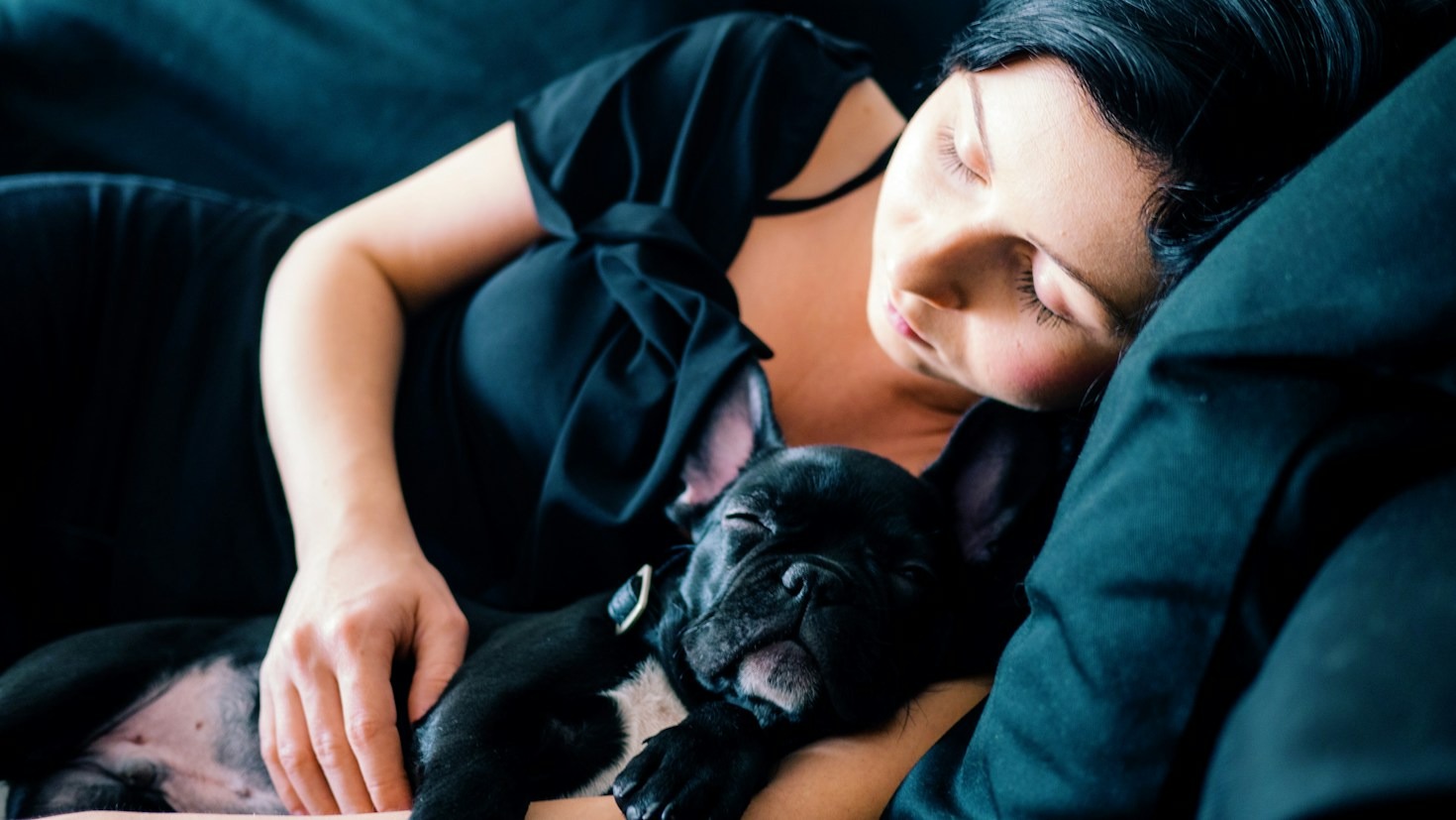 How to Prevent Common French Bulldog Respiratory Issues